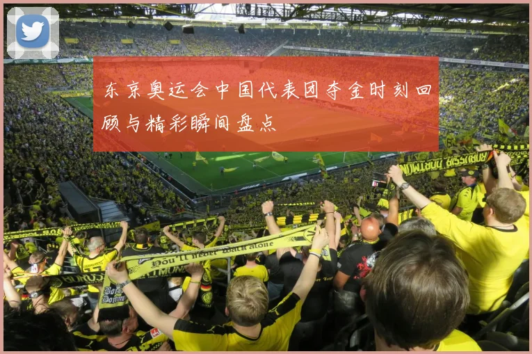 东京奥运会中国代表团夺金时刻回顾与精彩瞬间盘点